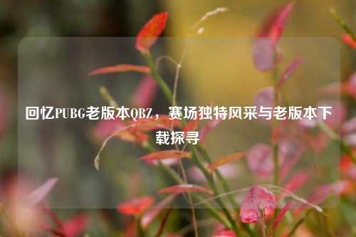 回忆PUBG老版本QBZ，赛场独特风采与老版本下载探寻