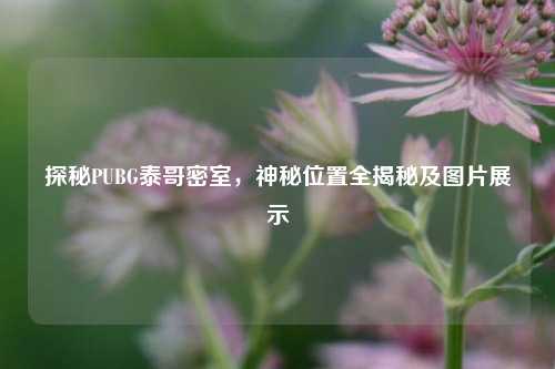 探秘PUBG泰哥密室，神秘位置全揭秘及图片展示
