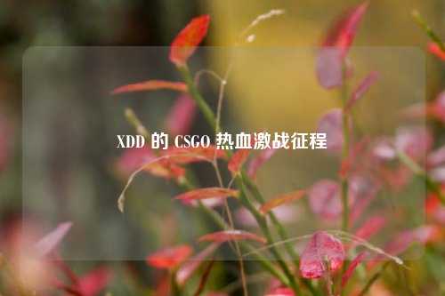 XDD 的 CSGO 热血激战征程