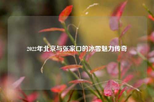 2022年北京与张家口的冰雪魅力传奇