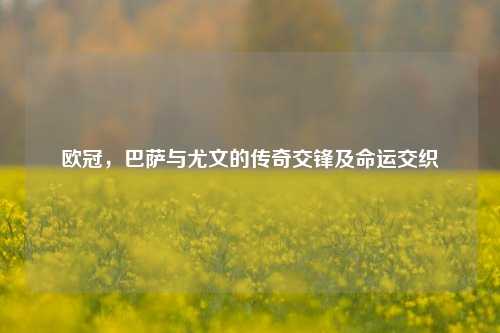 欧冠，巴萨与尤文的传奇交锋及命运交织