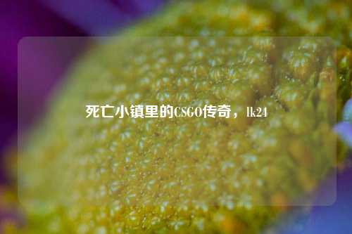 死亡小镇里的CSGO传奇，lk24