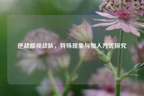 逆战鄙视战队，特殊现象与加入方式探究