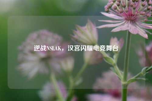 逆战NSLAK，汉宫闪耀电竞舞台