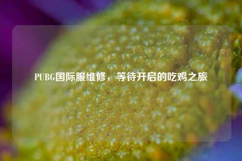 PUBG国际服维修，等待开启的吃鸡之旅