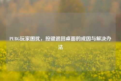 PUBG玩家困扰，按键退回桌面的成因与解决办法