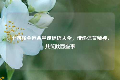十四届全运会宣传标语大全，传递体育精神，共筑陕西盛事