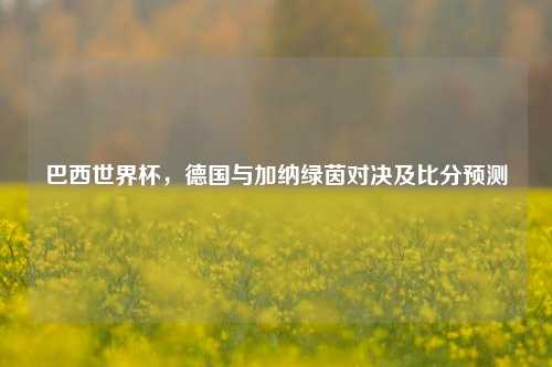 巴西世界杯，德国与加纳绿茵对决及比分预测