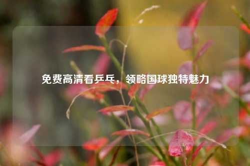 免费高清看乒乓,领略国球独特魅力