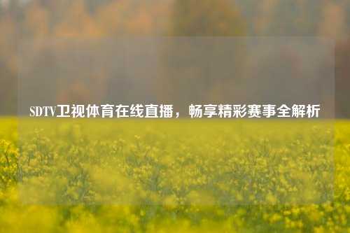 SDTV卫视体育在线直播，畅享精彩赛事全解析
