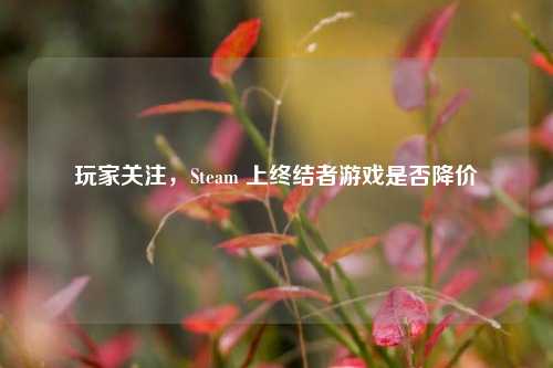 玩家关注，Steam 上终结者游戏是否降价