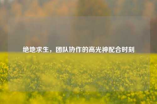 绝地求生，团队协作的高光神配合时刻