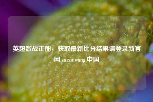 英超激战正酣，获取最新比分结果请登录新官网.zuixinwang.中国