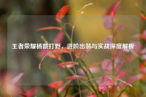 王者荣耀杨戬打野，进阶出装与实战深度解析