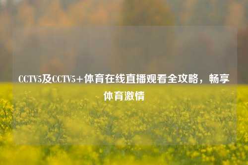 CCTV5及CCTV5+体育在线直播观看全攻略,畅享体育激情