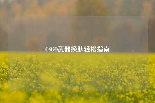 CSGO武器换肤轻松指南