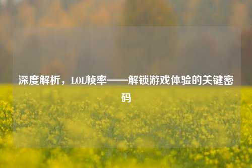 深度解析，LOL帧率——解锁游戏体验的关键密码