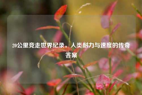 20公里竞走世界纪录，人类耐力与速度的传奇答案
