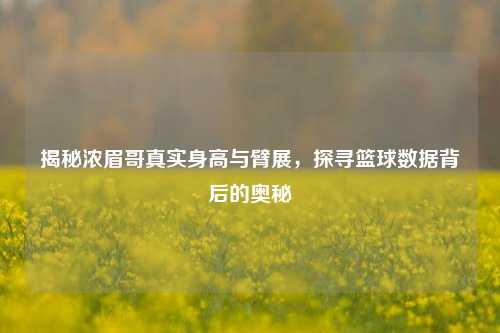 揭秘浓眉哥真实身高与臂展，探寻篮球数据背后的奥秘