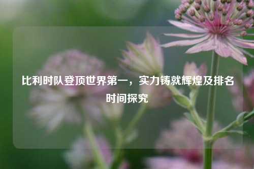 比利时队登顶世界第一，实力铸就辉煌及排名时间探究