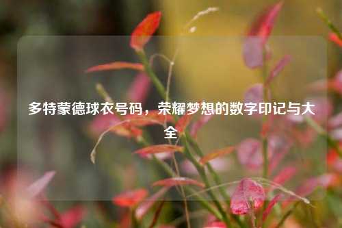 多特蒙德球衣号码，荣耀梦想的数字印记与大全