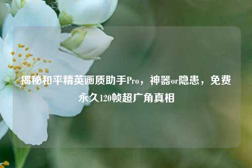 揭秘和平精英画质助手Pro,神器or隐患,免费永久120帧超广角真相