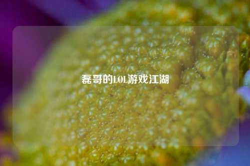 磊哥的LOL游戏江湖