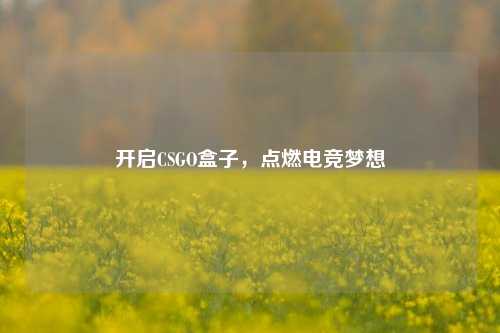 开启CSGO盒子,点燃电竞梦想