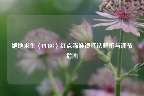 绝地求生（PUBG）红点瞄准镜打法解析与调节指南