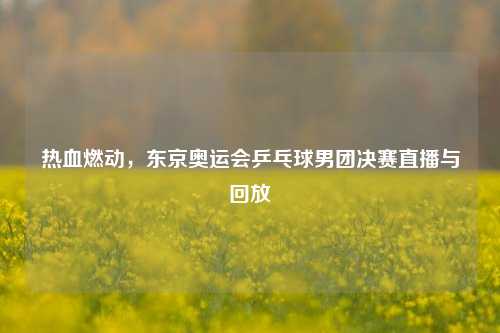 热血燃动，东京奥运会乒乓球男团决赛直播与回放