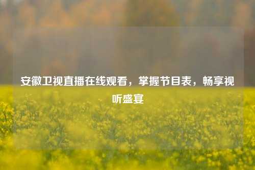 安徽卫视直播在线观看，掌握节目表，畅享视听盛宴