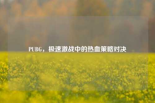 PUBG,极速激战中的热血策略对决