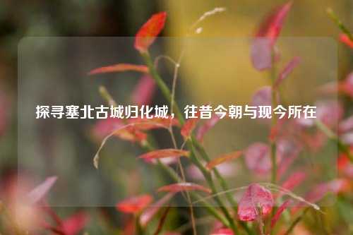 探寻塞北古城归化城，往昔今朝与现今所在