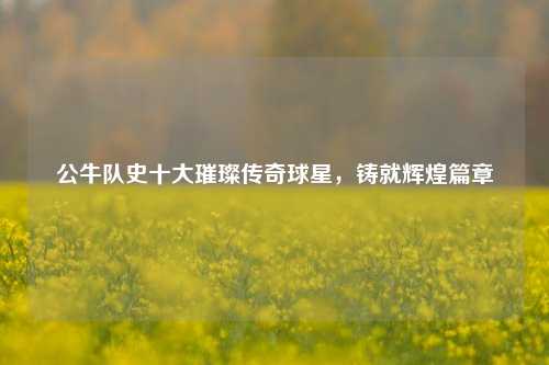 公牛队史十大璀璨传奇球星，铸就辉煌篇章