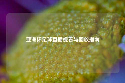 亚洲杯足球直播观看与回放指南