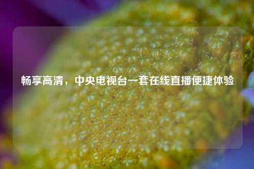 畅享高清，中央电视台一套在线直播便捷体验
