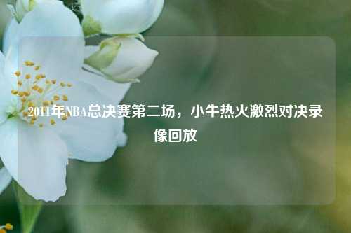 2011年NBA总决赛第二场,小牛热火激烈对决录像回放