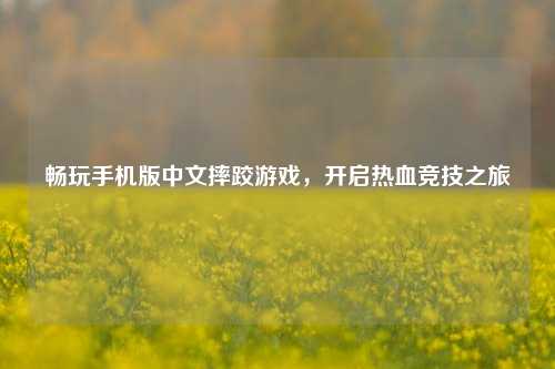 畅玩手机版中文摔跤游戏，开启热血竞技之旅