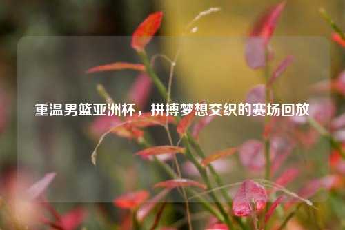 重温男篮亚洲杯，拼搏梦想交织的赛场回放