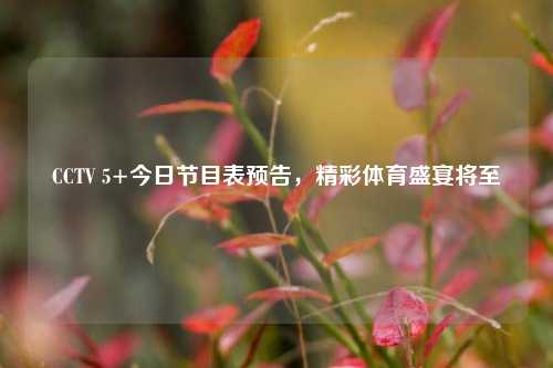 CCTV 5+今日节目表预告，精彩体育盛宴将至