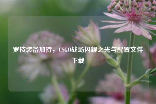 罗技装备加持，CSGO战场闪耀之光与配置文件下载