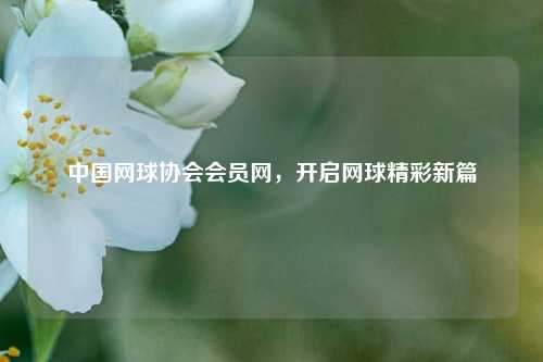 中国网球协会会员网,开启网球精彩新篇
