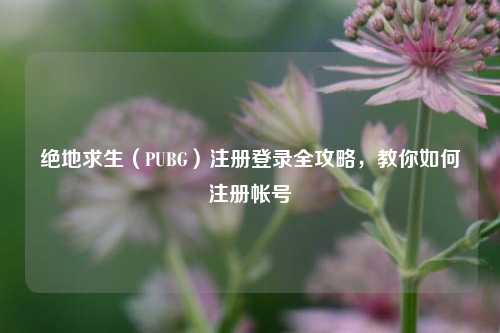 绝地求生（PUBG）注册登录全攻略，教你如何注册帐号