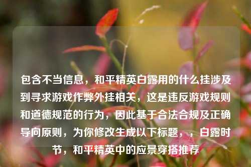 包含不当信息,和平精英白露用的什么挂涉及到寻求游戏作弊外挂相关,这是违反游戏规则和道德规范的行为,因此基于合法合规及正确导向原则,为你修改生成以下标题,,白露时节,和平精英中的应景穿搭推荐