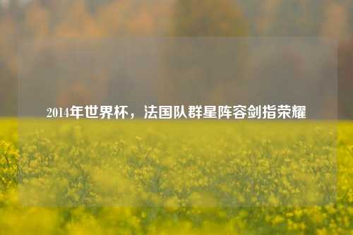 2014年世界杯，法国队群星阵容剑指荣耀