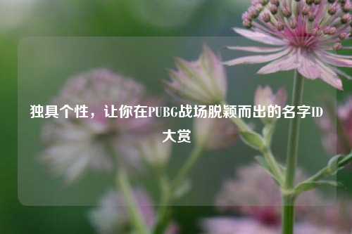 独具个性,让你在PUBG战场脱颖而出的名字ID大赏