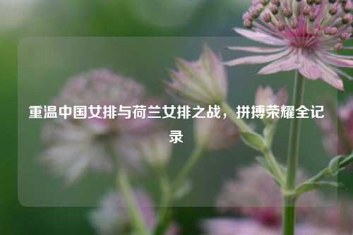 重温中国女排与荷兰女排之战，拼搏荣耀全记录