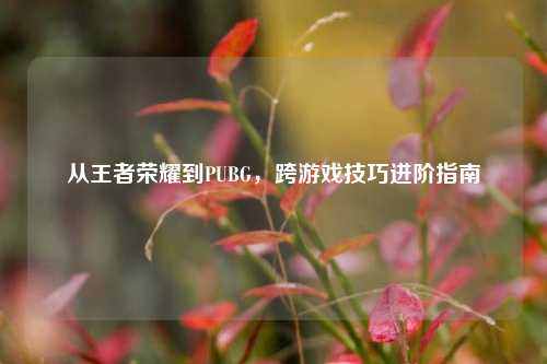 从王者荣耀到PUBG，跨游戏技巧进阶指南