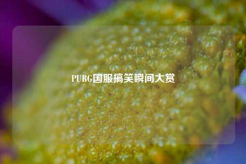PUBG国服搞笑瞬间大赏