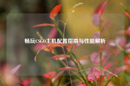 畅玩CSGO主机配置指南与性能解析